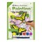 PJS69 | Painting by numbers™ 10pc 8.75" x 11.375" Swallowtail Butterflies Painting Project